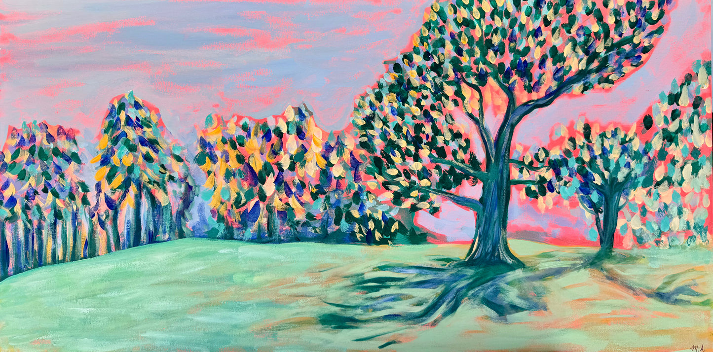 Front Yard